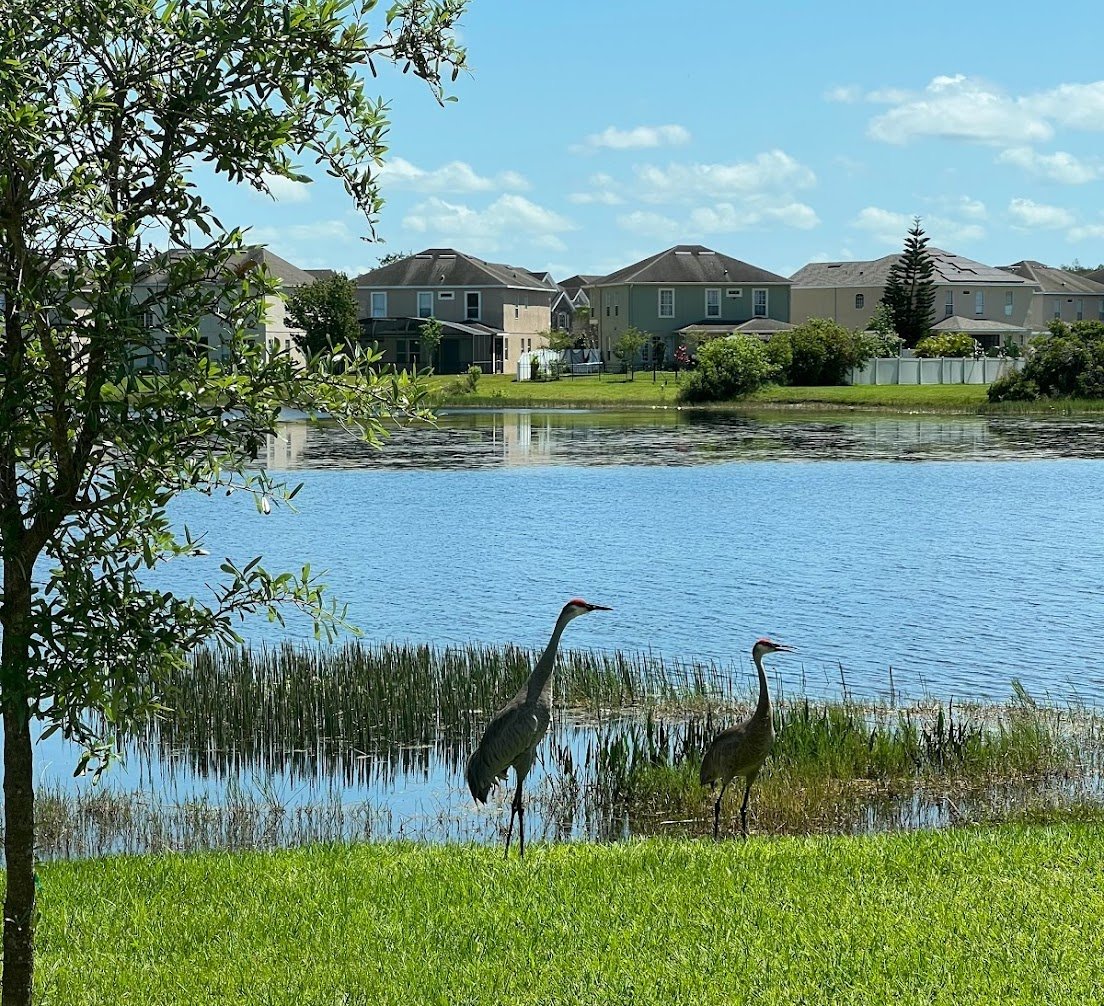 IMG_7626-1 IMG_7626-1